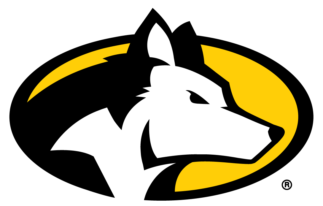 Michigan Tech Huskies 2016-Pres Partial Logo t shirts iron on transfers